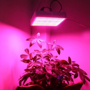 Growlight Tam Spectrumlu Bitki Büyütme Işığı
